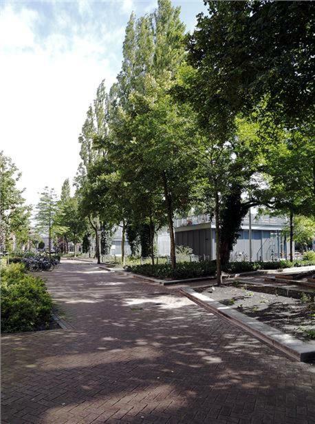 Ecofriendly Room Close To Center Amsterdam Exteriér fotografie